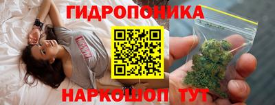 стафф Бердск