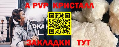 стафф Бердск