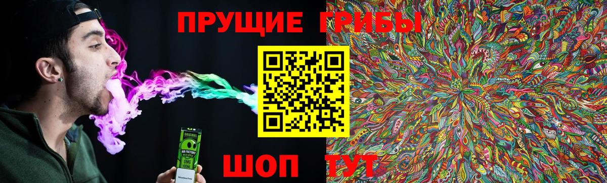 Галлюциногенные грибы Psilocybe Ставрополь